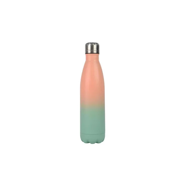 Metal Water Bottle 17 oz